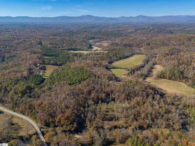 $1,195,000 | 10105 East Nc Highway, Mill Spring, NC 28756