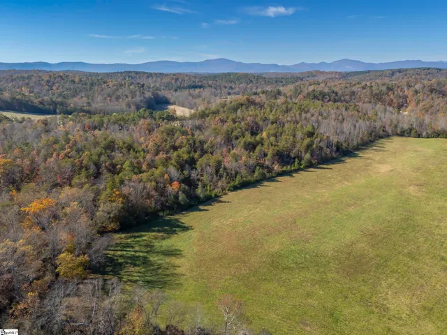 $1,195,000 | 10105 East Nc Highway, Mill Spring, NC 28756