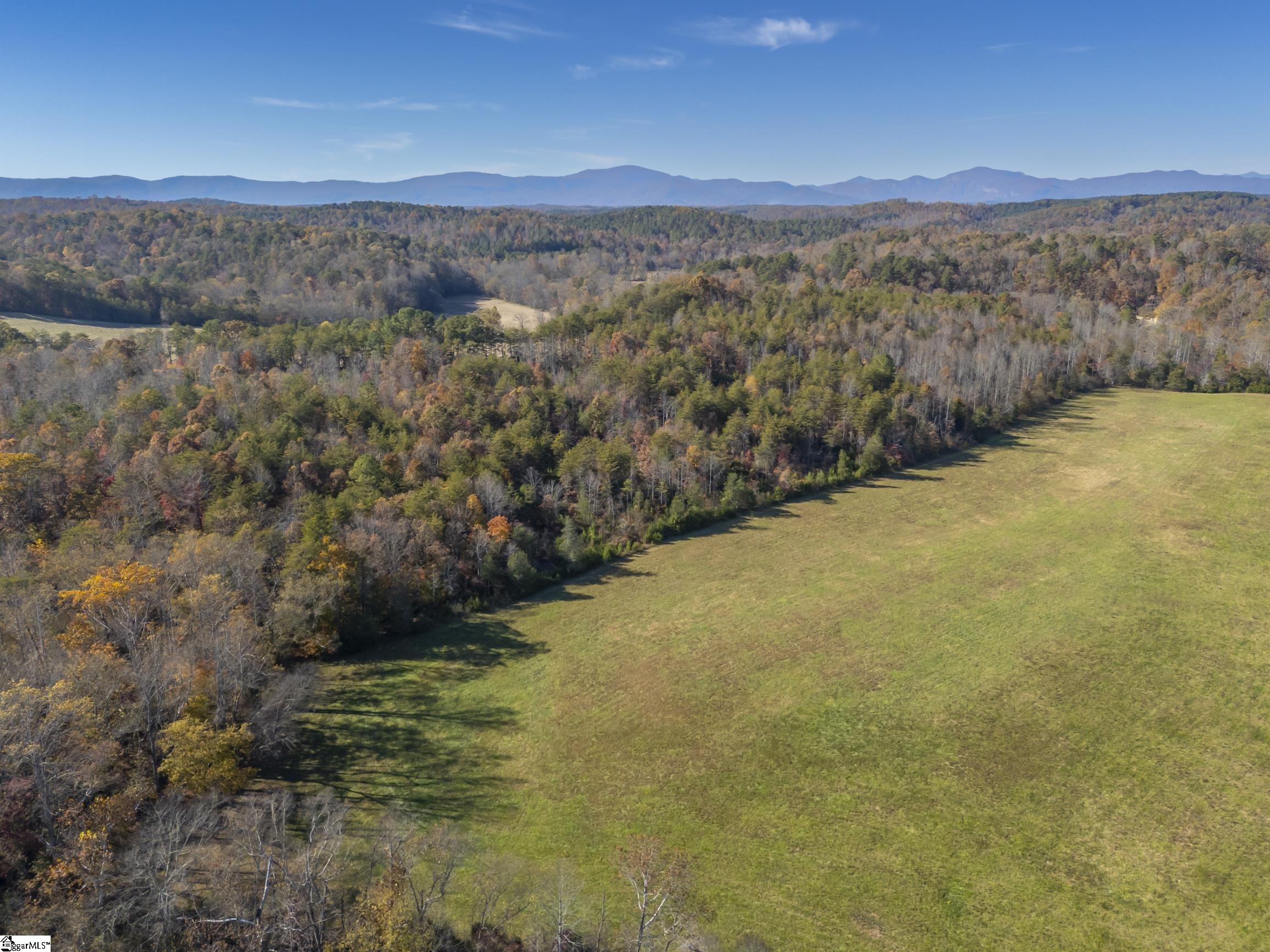 10105 East Nc Highway Mill Spring, NC 28756 - Photo 6 of 47