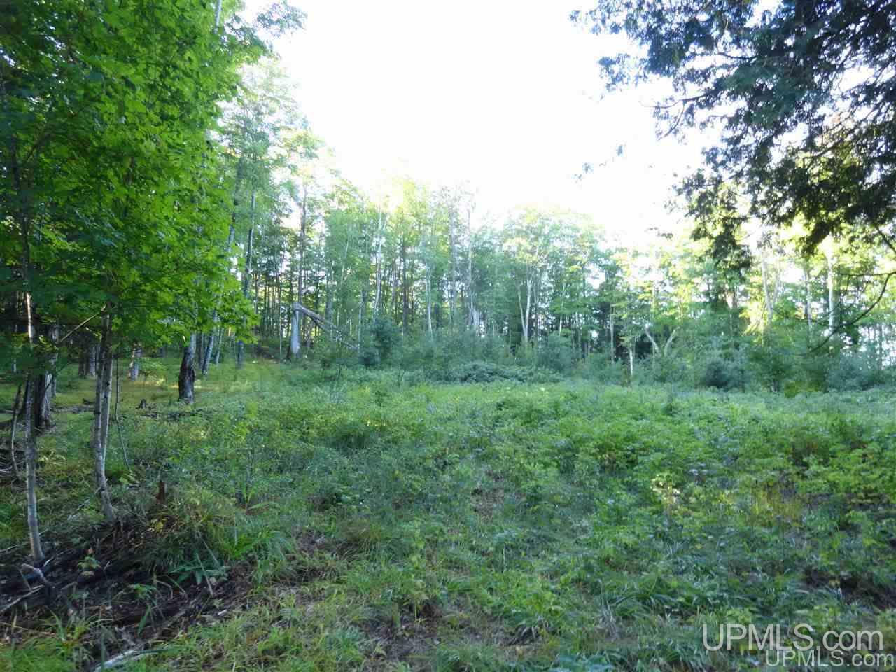 5-acres Co Rd Sa Cornell, MI 49818 - Photo 21 of 27