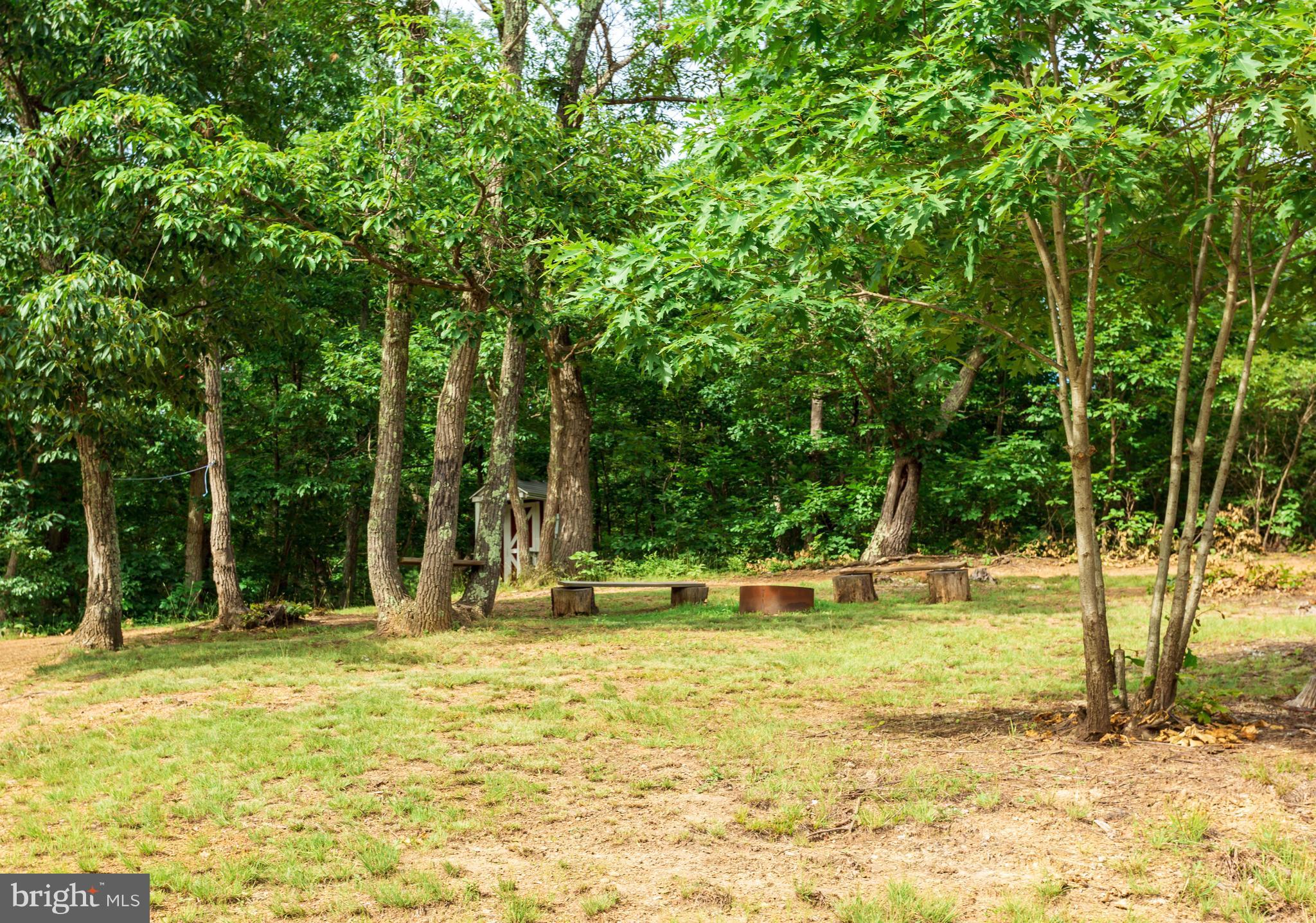 705 Paddys Run Road Star Tannery, VA 22654 - Photo 2 of 27 Are you ready to relax by the fire..