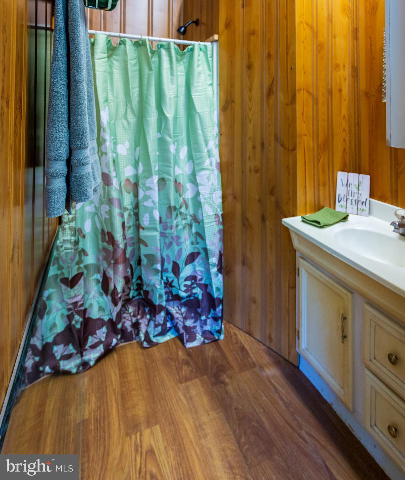 705 Paddys Run Road Star Tannery, VA 22654 - Photo 11 of 27 Bath