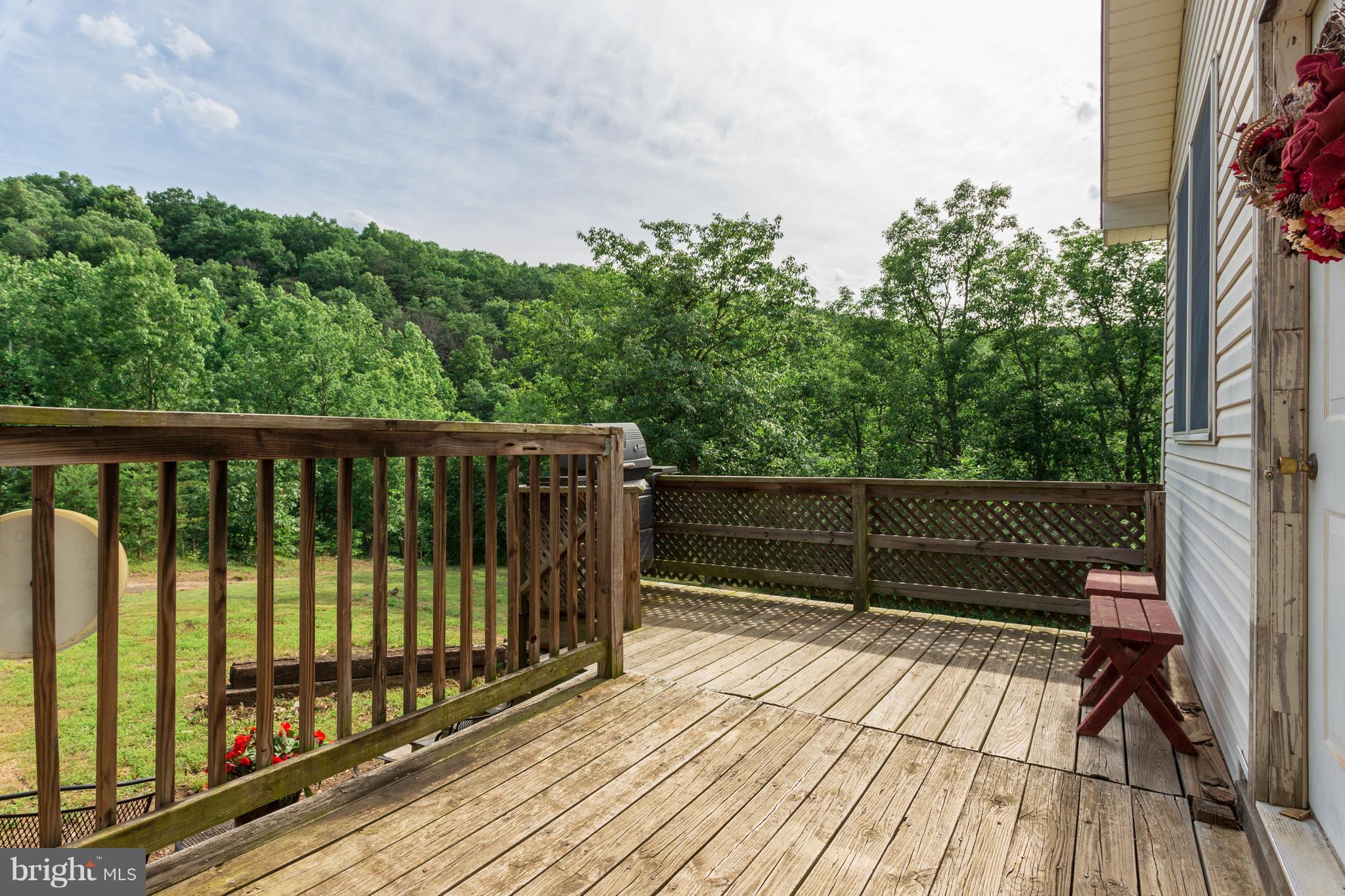 705 Paddys Run Road Star Tannery, VA 22654 - Photo 12 of 27 Front porch with views