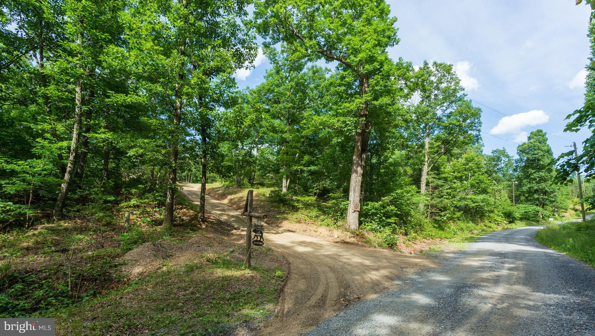 705 Paddys Run Road Star Tannery, VA 22654 - Photo 13 of 27 Your entrance