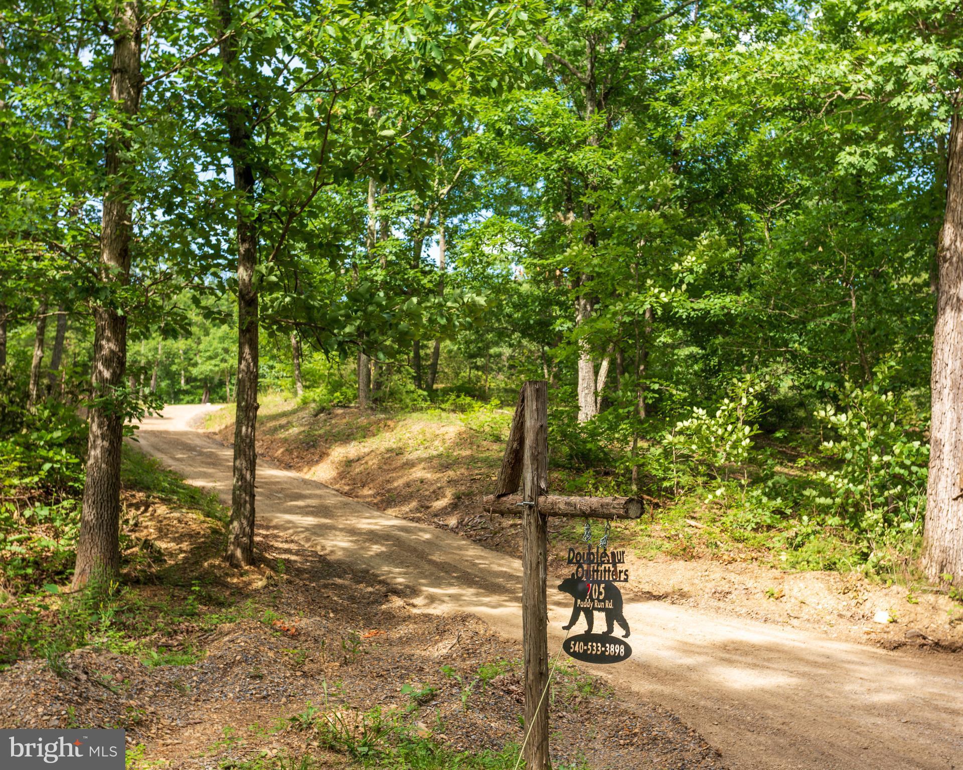 705 Paddys Run Road Star Tannery, VA 22654 - Photo 14 of 27 The drive to your new cabin and land.