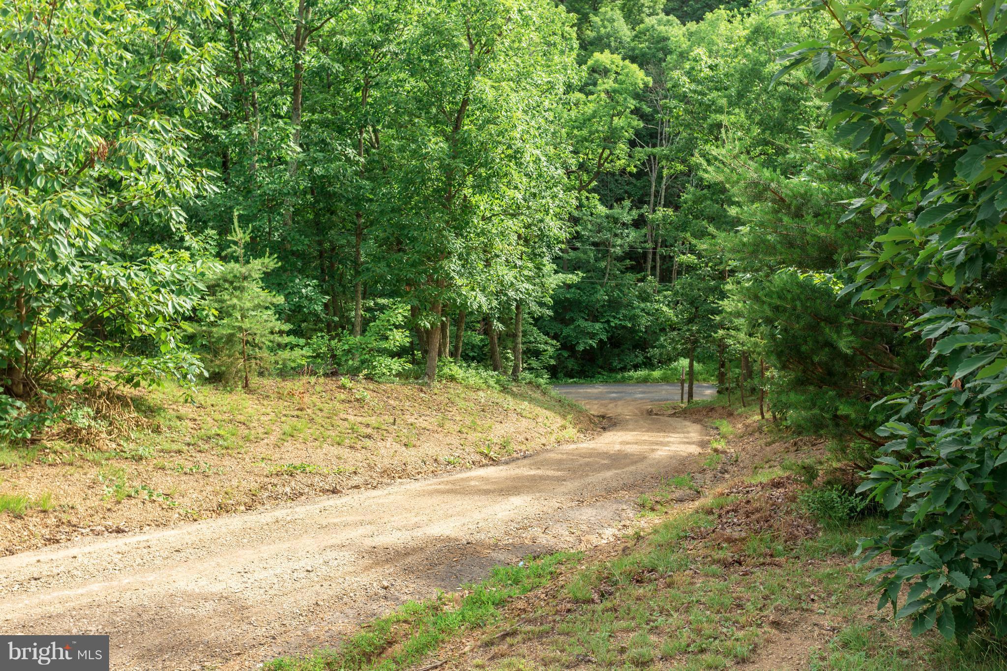 705 Paddys Run Road Star Tannery, VA 22654 - Photo 24 of 27 Beautiful country living