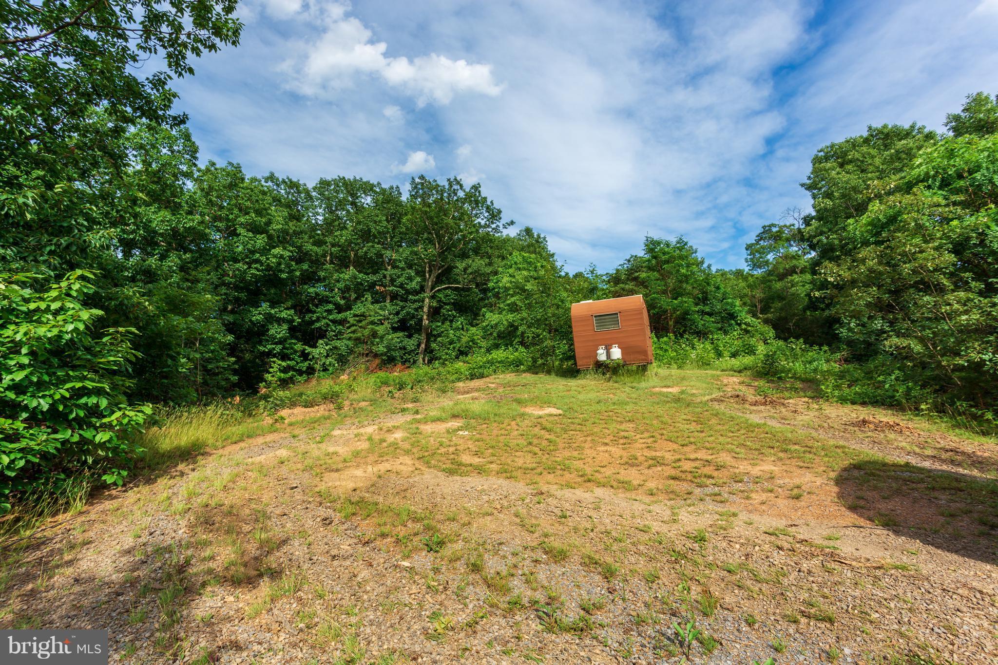 705 Paddys Run Road Star Tannery, VA 22654 - Photo 26 of 27 Hunt or build
