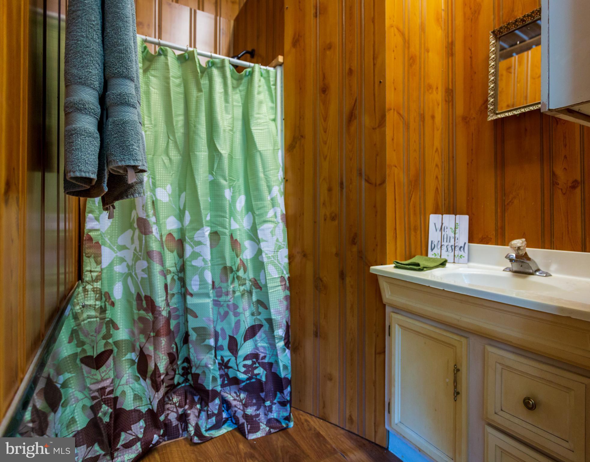 705 Paddys Run Road Star Tannery, VA 22654 - Photo 10 of 27 Bath