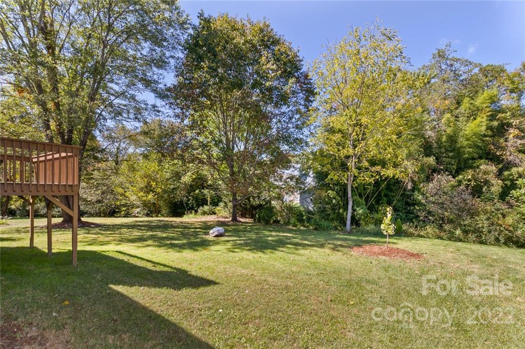 1008 Riceville Road Asheville, NC 28805 - Photo 23 of 28 Gallery Image 23