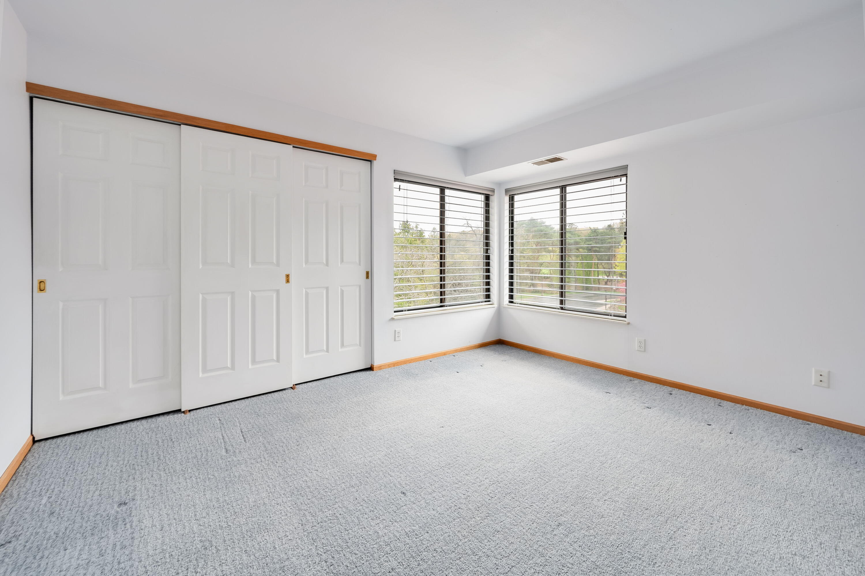1600 West Green Tree Road, Unit 319 Glendale, WI 53209 - Photo 10 of 20 Triple closet