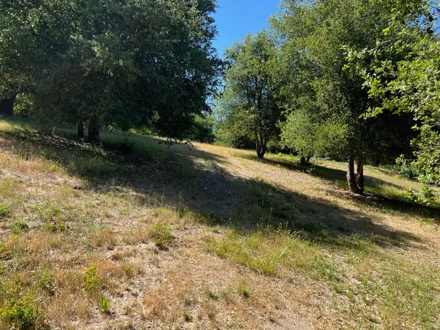 a view of a yard with an trees
