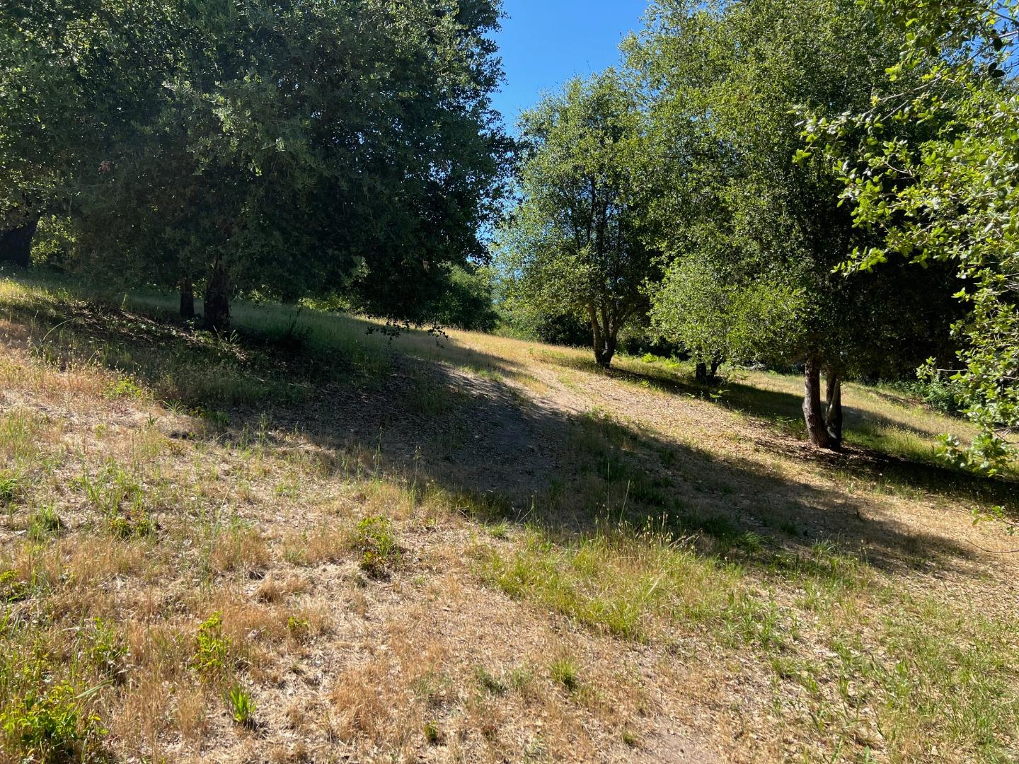 6 Arroyo Sequoia Carmel, CA 93923 - Photo 12 of 36 a view of a yard with plants and large trees