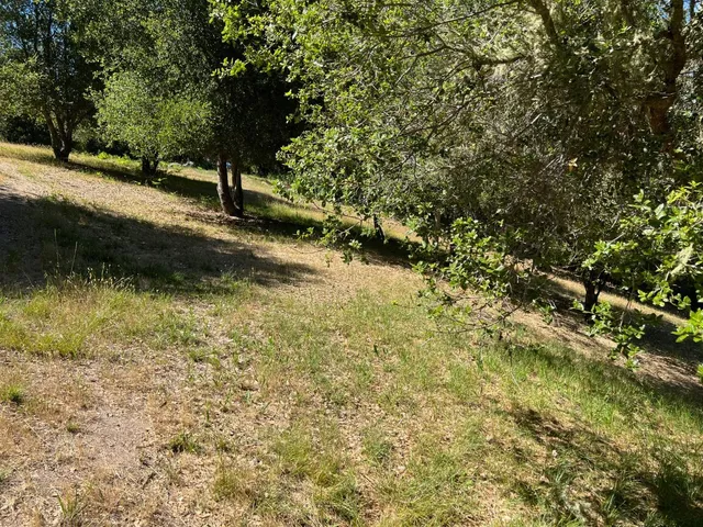 a view of a pathway with a park