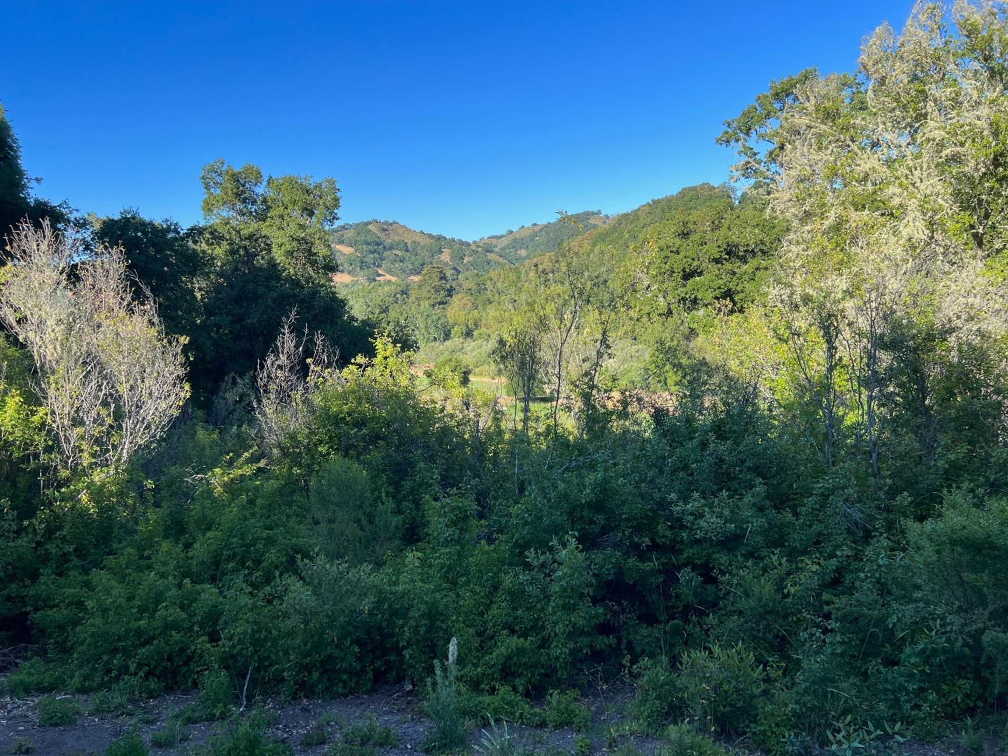 6 Arroyo Sequoia Carmel, CA 93923 - Photo 18 of 36 a view of a lush green forest with lots of trees