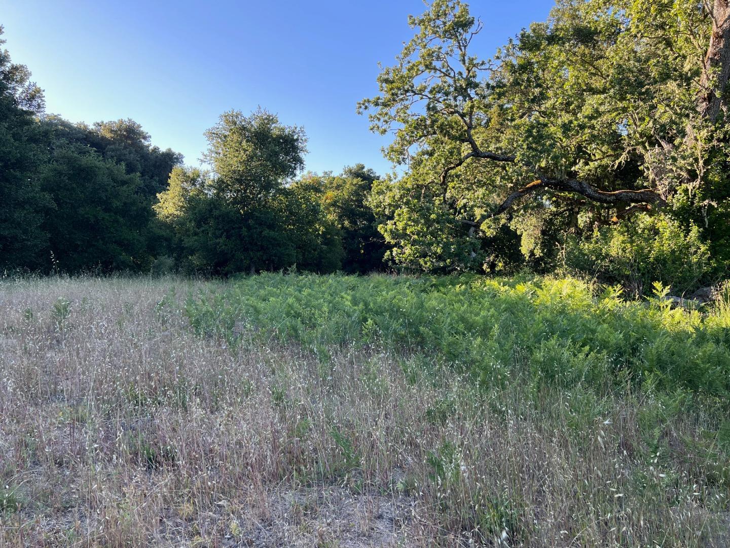 6 Arroyo Sequoia Carmel, CA 93923 - Photo 19 of 36 a view of backyard with green space