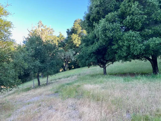 a view of a lake with a mountain