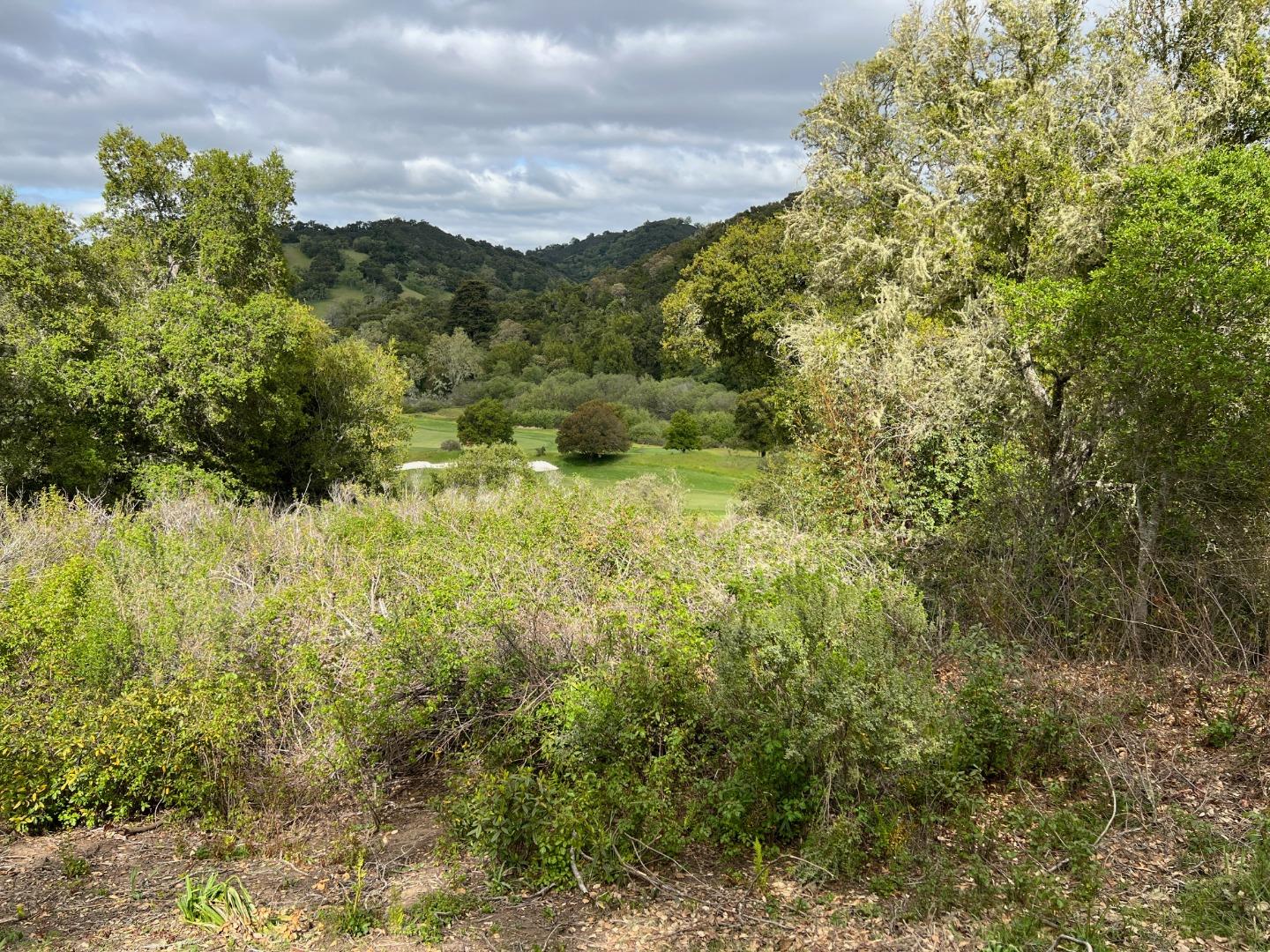 6 Arroyo Sequoia Carmel, CA 93923 - Photo 23 of 36 a view of a lake with a mountain