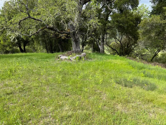 a view of yard with green space