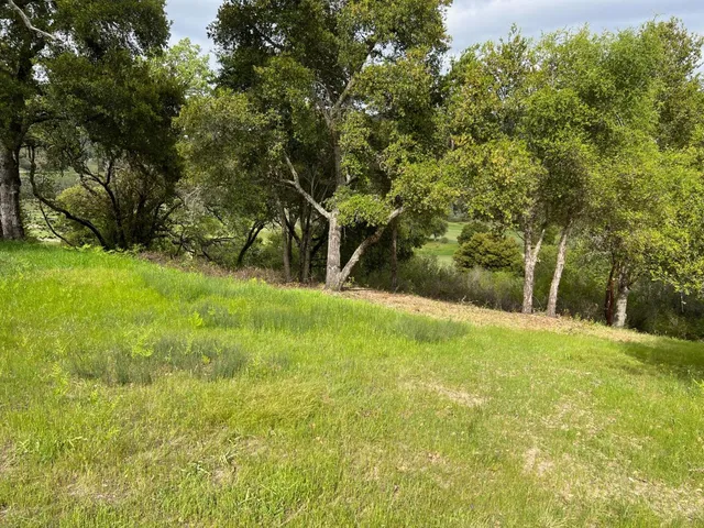 a view of backyard with green space