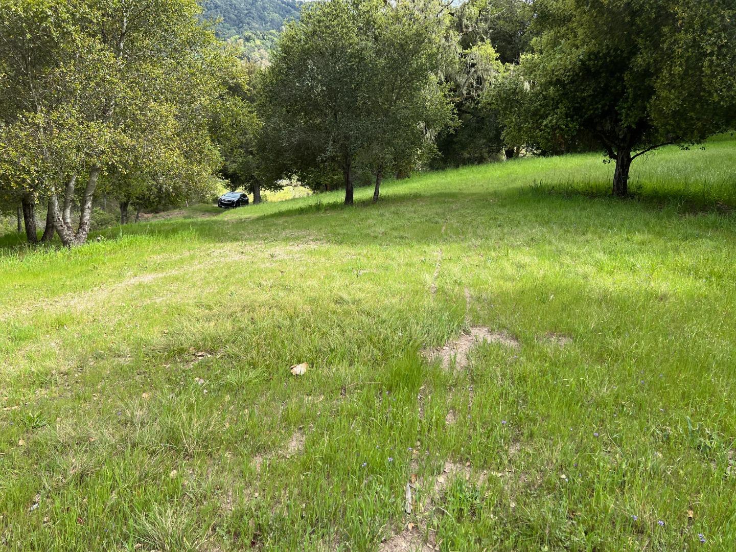 6 Arroyo Sequoia Carmel, CA 93923 - Photo 28 of 36 a view of a field with a tree