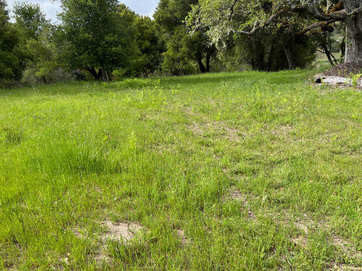 6 Arroyo Sequoia Carmel, CA 93923 - Photo 29 of 36 a view of outdoor space with deck and yard