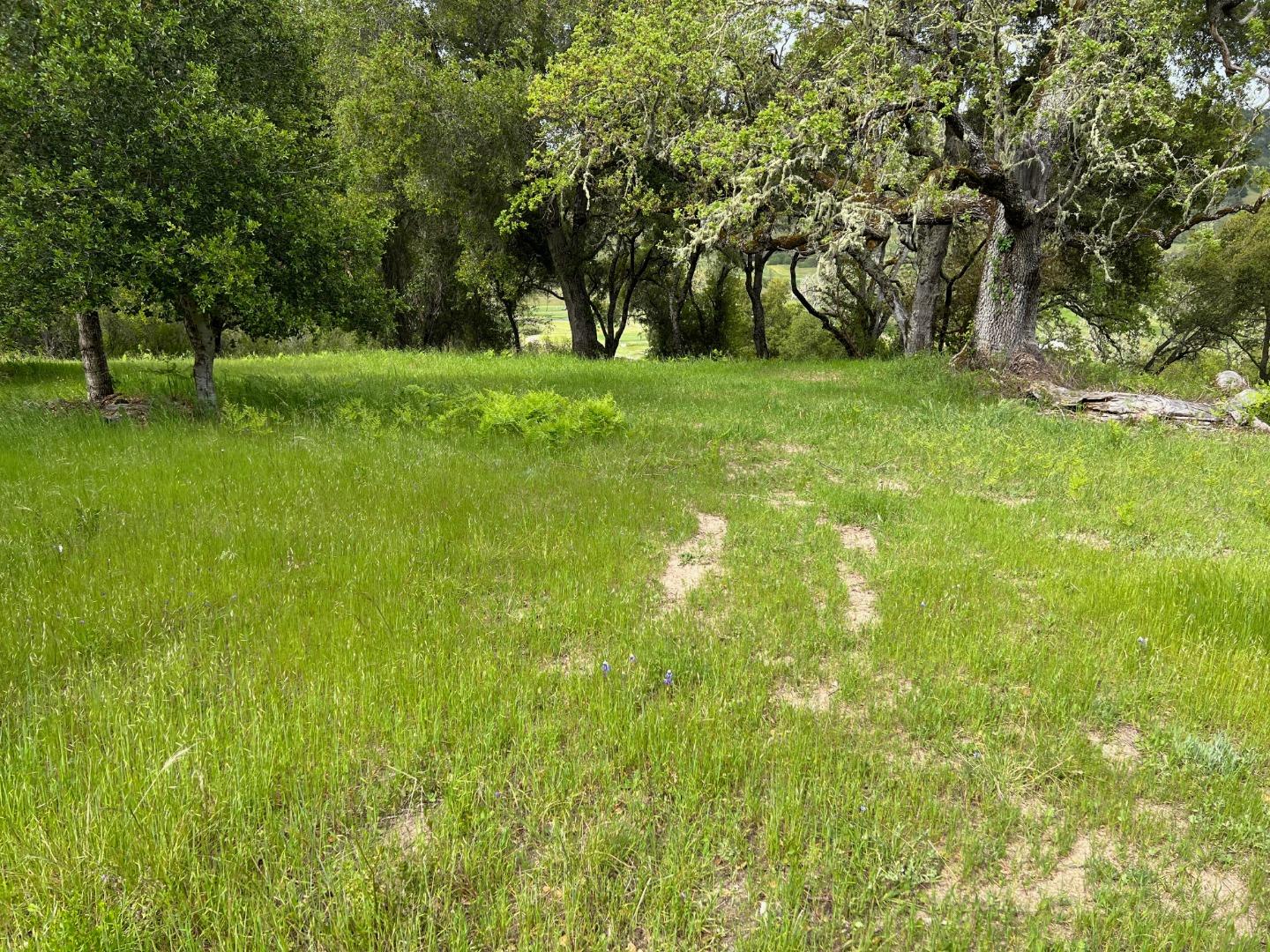 6 Arroyo Sequoia Carmel, CA 93923 - Photo 33 of 36 a view of a green field with trees
