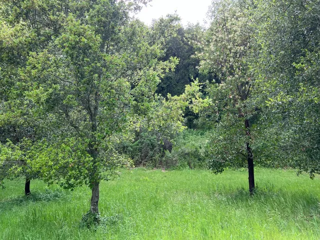 $450,000 | 6 Arroyo Sequoia, Carmel, CA 93923