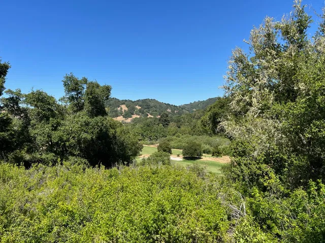 a view of a yard with a tree