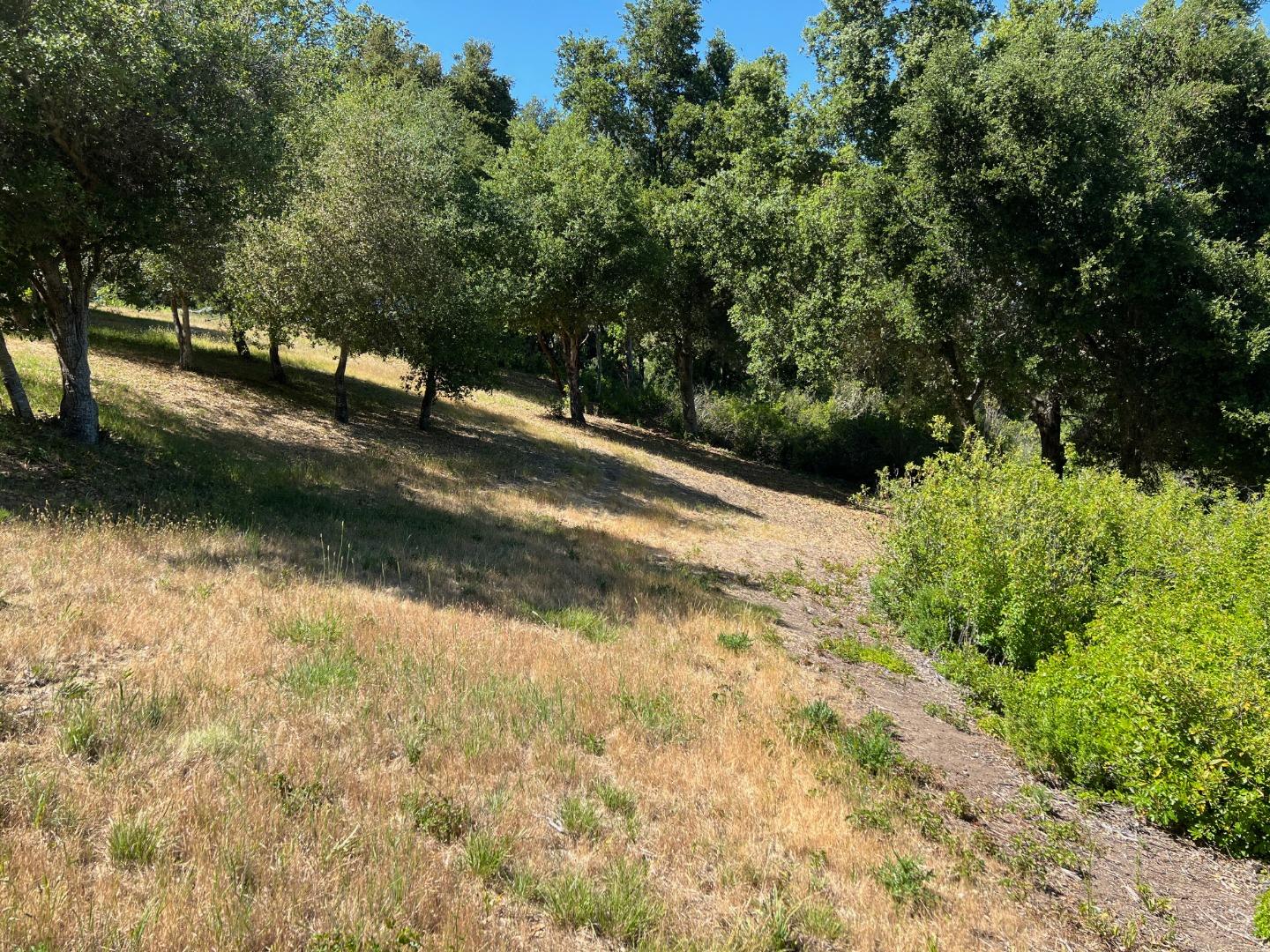 6 Arroyo Sequoia Carmel, CA 93923 - Photo 5 of 36 a view of a yard with a tree