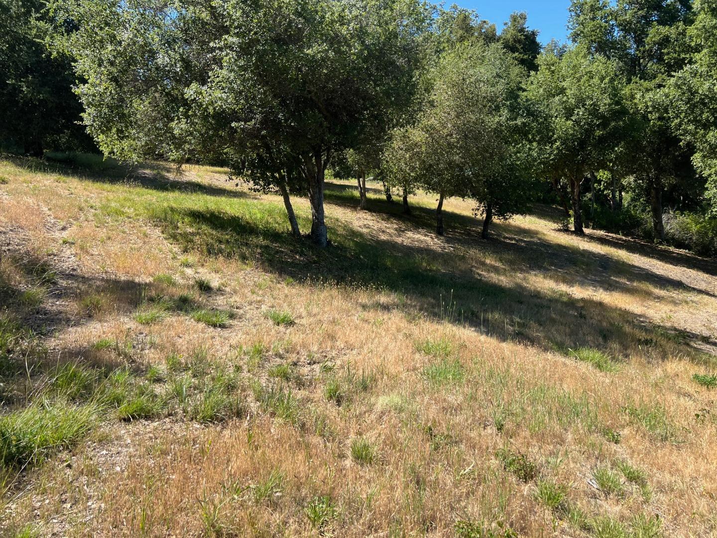 6 Arroyo Sequoia Carmel, CA 93923 - Photo 6 of 36 a view of outdoor space and yard