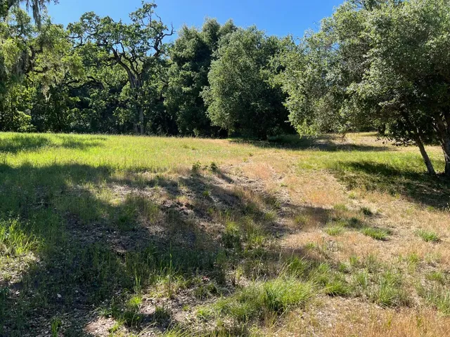 a view of swimming pool with a yard