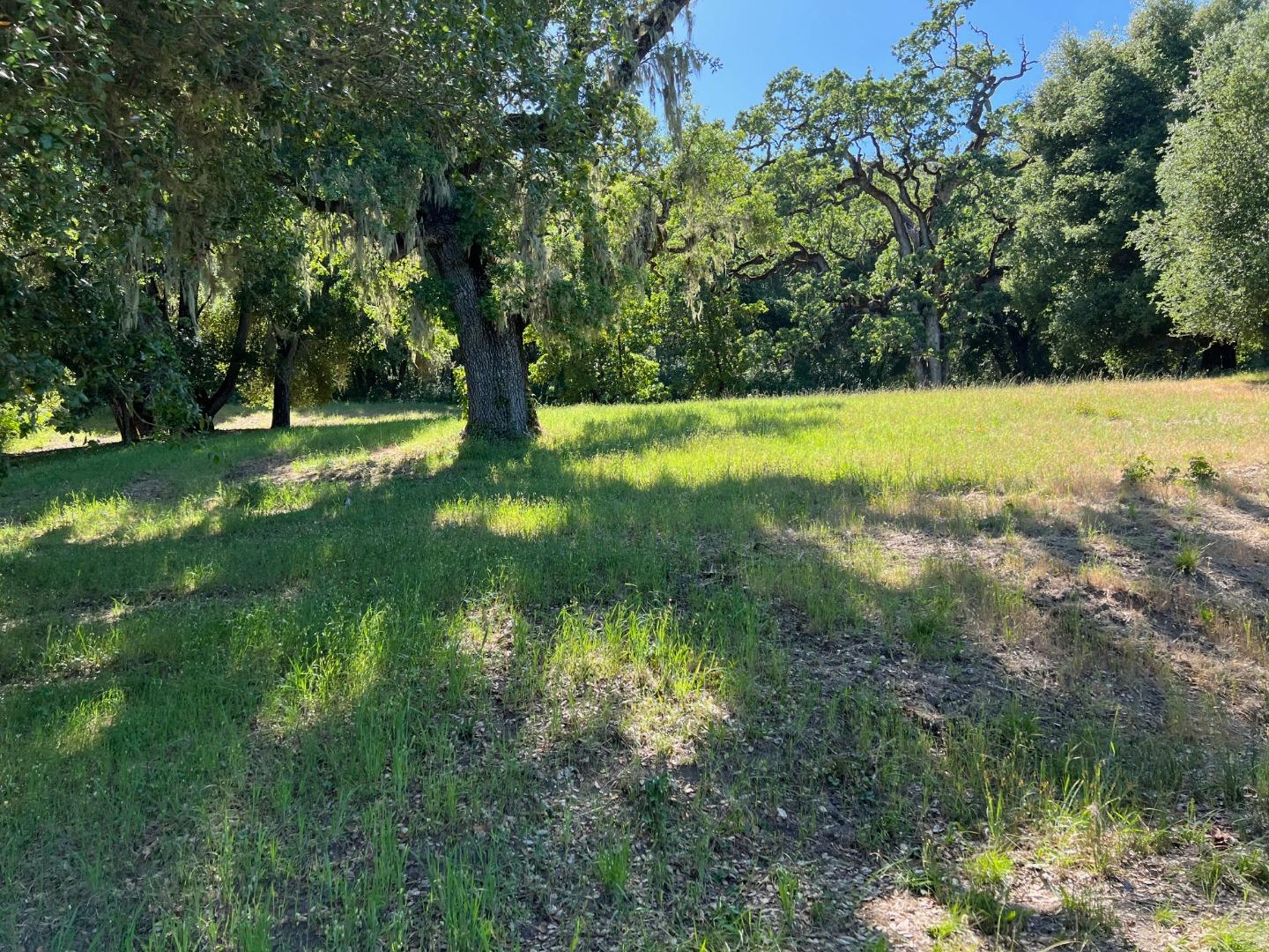 6 Arroyo Sequoia Carmel, CA 93923 - Photo 8 of 36 a view of swimming pool with a yard