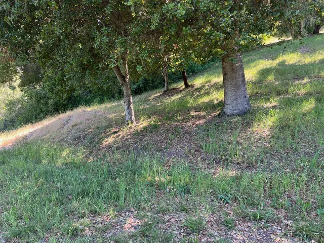 a view of lake background with green space