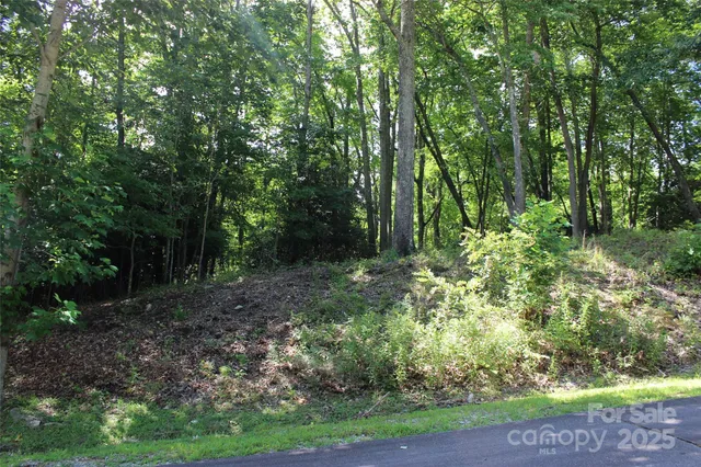 $115,000 | 100 Ivywood Lane, Laurel Park, NC 28739