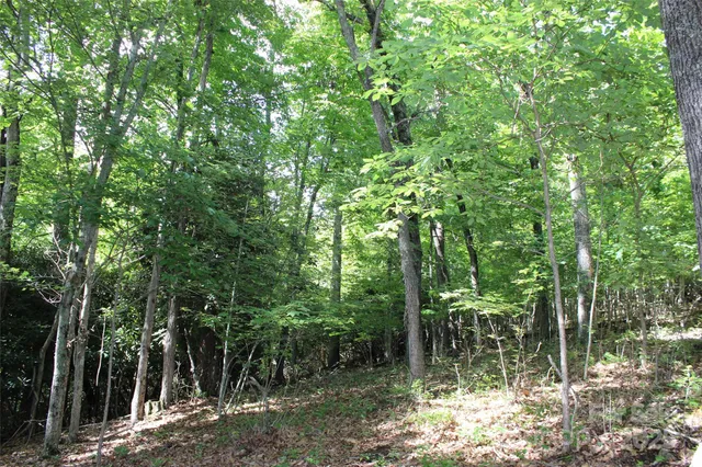 $115,000 | 100 Ivywood Lane, Laurel Park, NC 28739