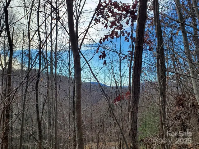 $115,000 | 100 Ivywood Lane, Laurel Park, NC 28739