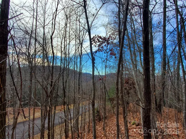 $115,000 | 100 Ivywood Lane, Laurel Park, NC 28739