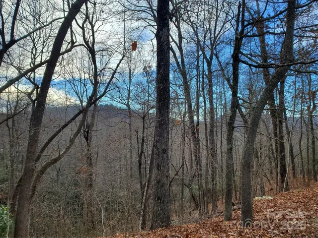 $115,000 | 100 Ivywood Lane, Laurel Park, NC 28739