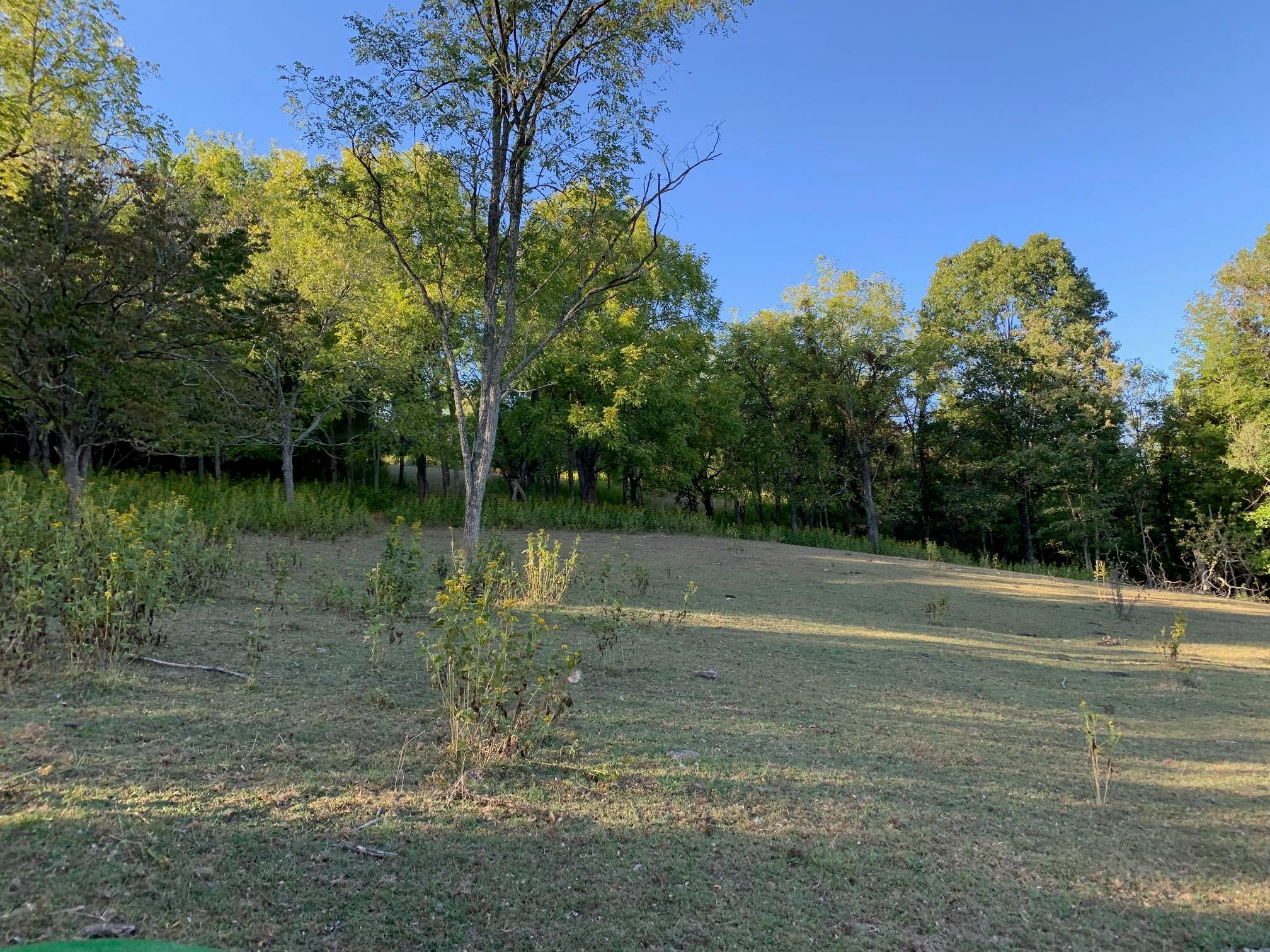 4950 Second Creek Road Sinks Grove, WV 24976 - Photo 22 of 36 Gallery Image 22