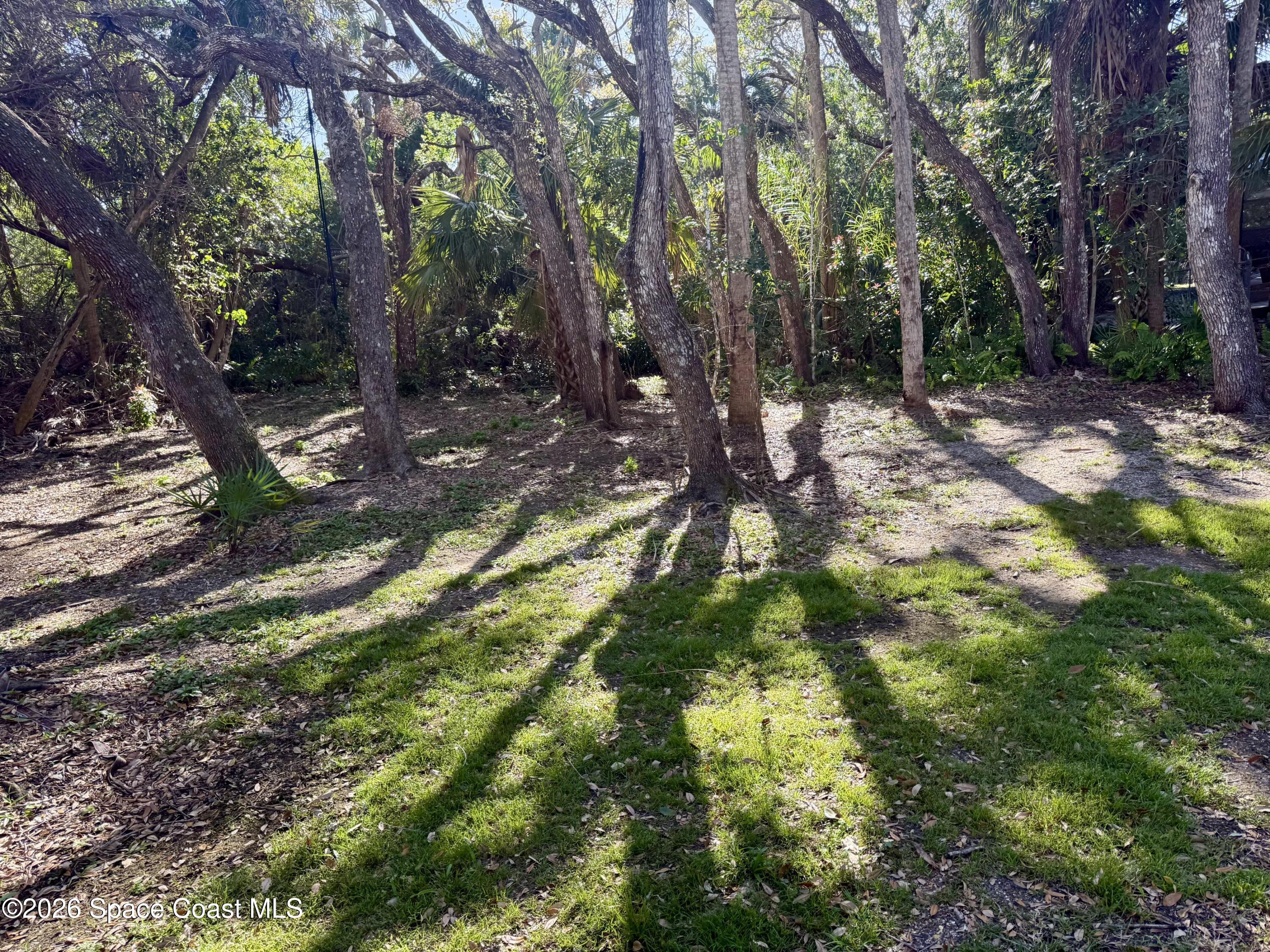111 Seagrape Road Melbourne Beach, FL 32951 - Photo 10 of 19 a backyard of a house with lots of green space