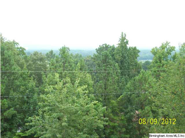 31 Dorough Street, Unit 6 Steele, AL 35987 - Photo 5 of 28