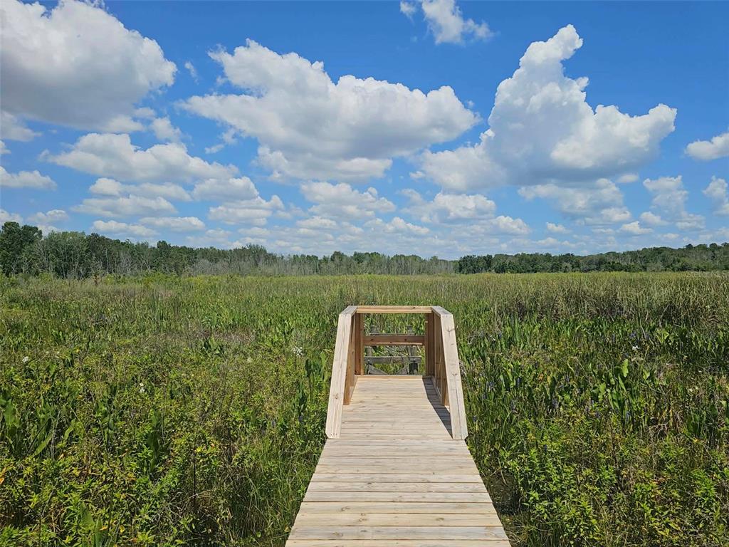 10895 Southeast Timucuan Road Summerfield, FL 34491 - Photo 20 of 23 a view of a lake with a garden
