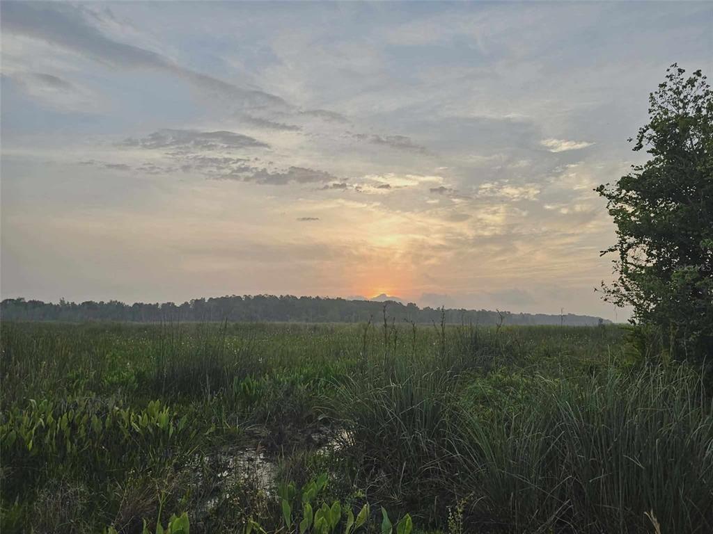 10895 Southeast Timucuan Road Summerfield, FL 34491 - Photo 23 of 23 a view of a city and mountains