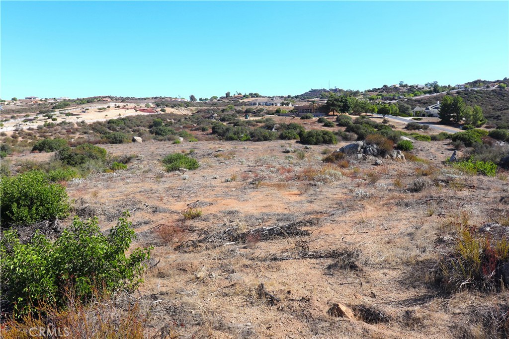 22990 Maclean Ranch Homeland, CA 92548 - Photo 24 of 26 a view of a dry yard with trees in the background