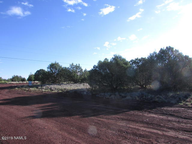 3803 North Hillside Road Williams, AZ 86046 - Photo 3 of 6 hillside 4