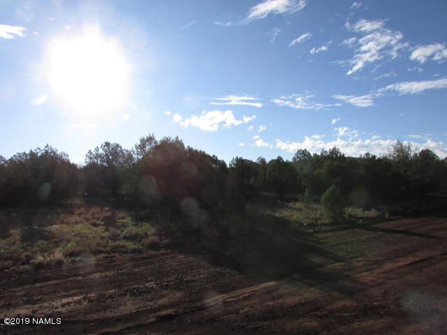 3803 North Hillside Road Williams, AZ 86046 - Photo 4 of 6 hillside 5