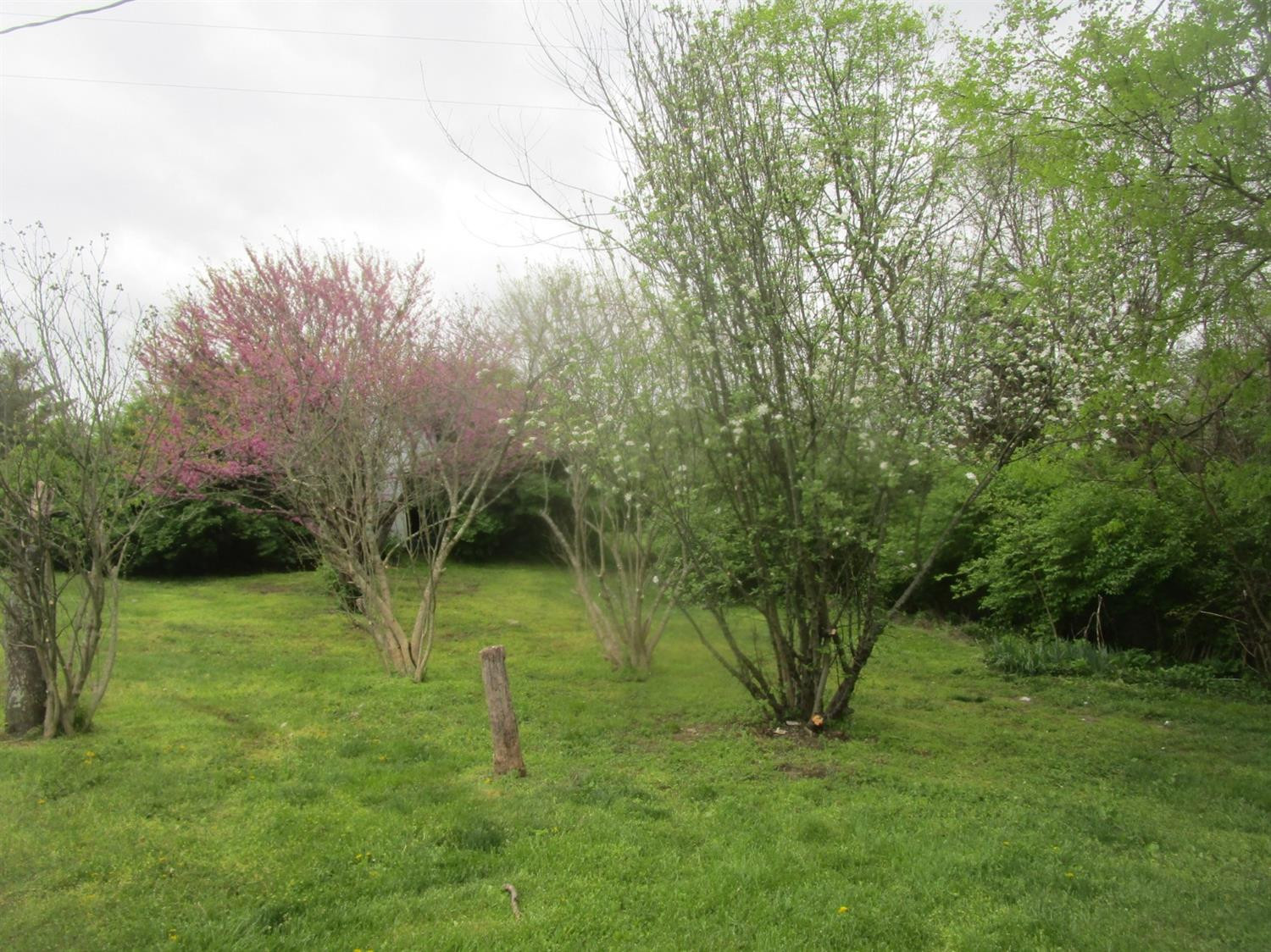 1297 High Bridge Road Lancaster, KY 40444 - Photo 15 of 19 Photo 15