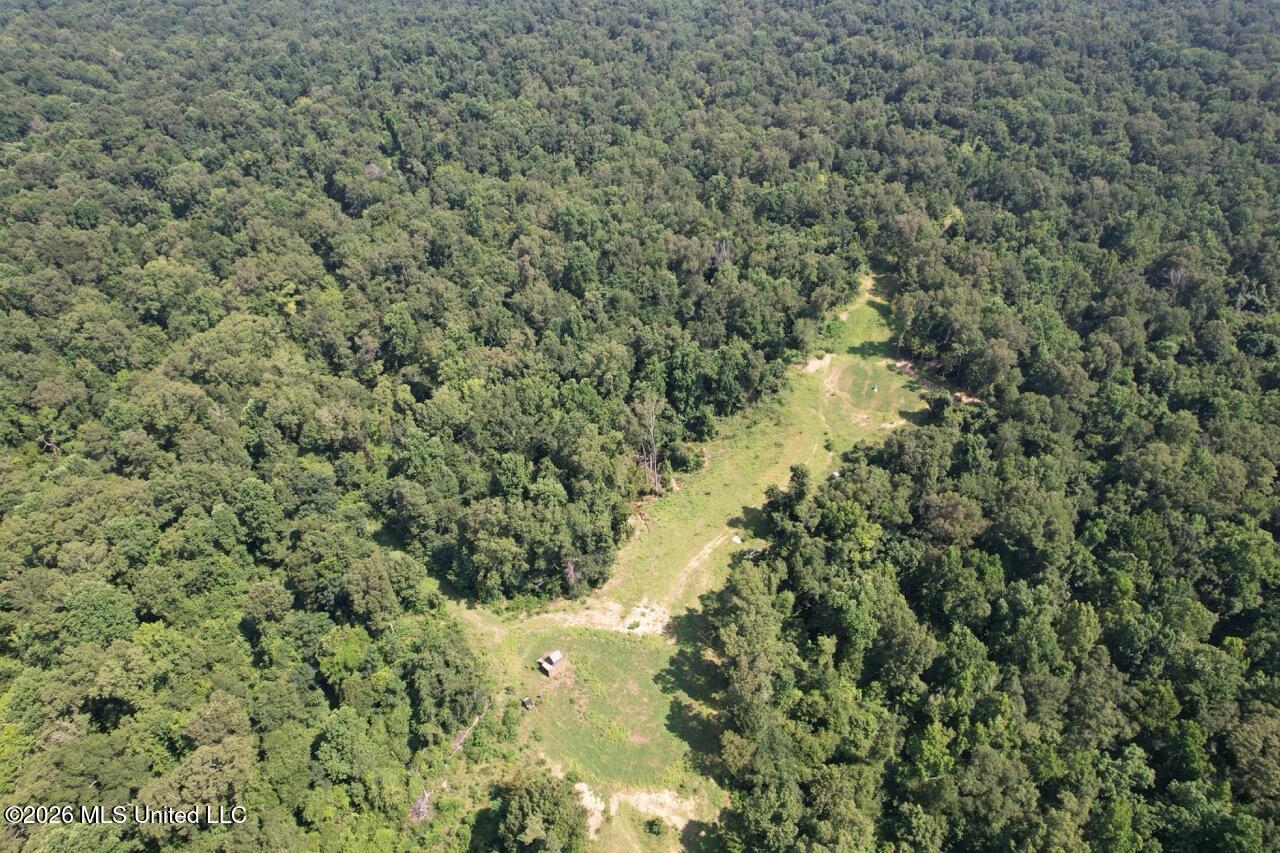 Annas Bottom Road Natchez, MS 39120 - Photo 14 of 48 DJI_0423 Large