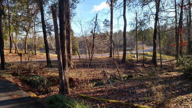 384 Northlake Road Keysville, GA 30816 - Photo 5 of 11 Gallery Image 5