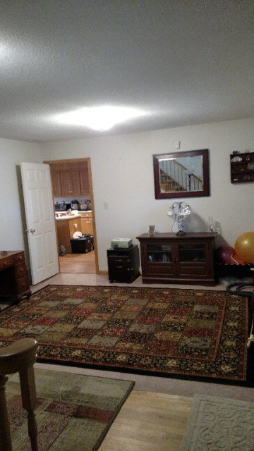 384 Northlake Road Keysville, GA 30816 - Photo 10 of 11 Gallery Image 10